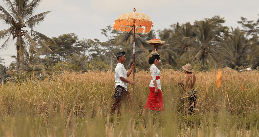 Kishi-Kishi Ubud Villas Bagian luar foto