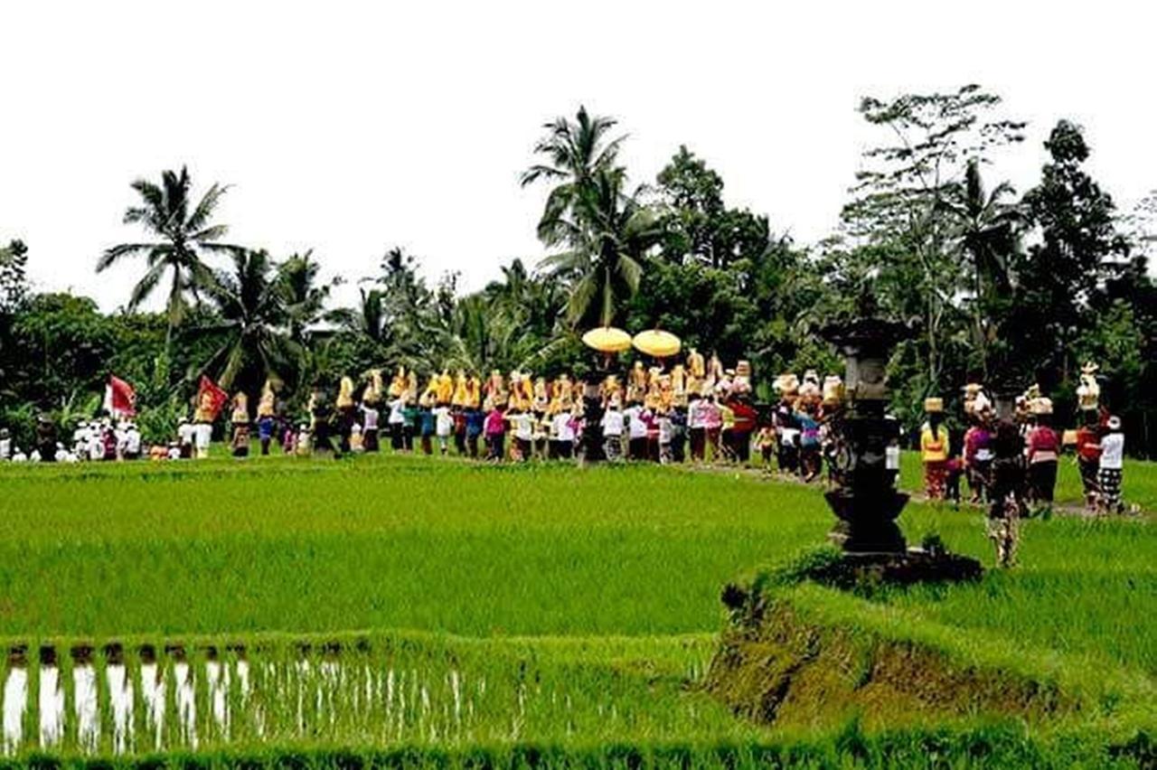 Kishi-Kishi Ubud Villas Bagian luar foto