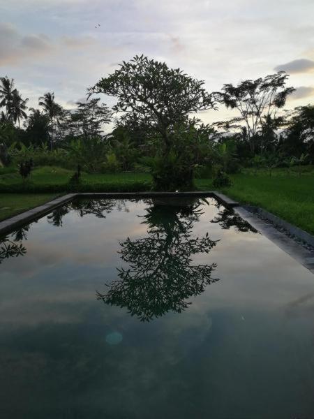 Kishi-Kishi Ubud Villas Bagian luar foto